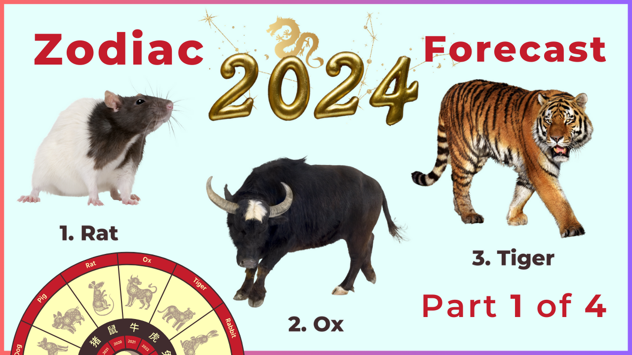 Zodiac Forecast