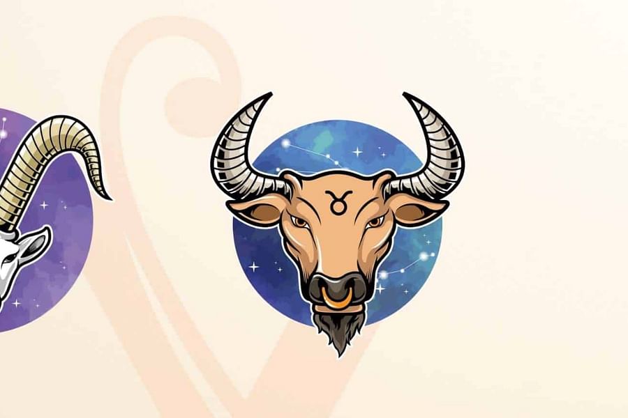 Taurus and Capricorn compatibility