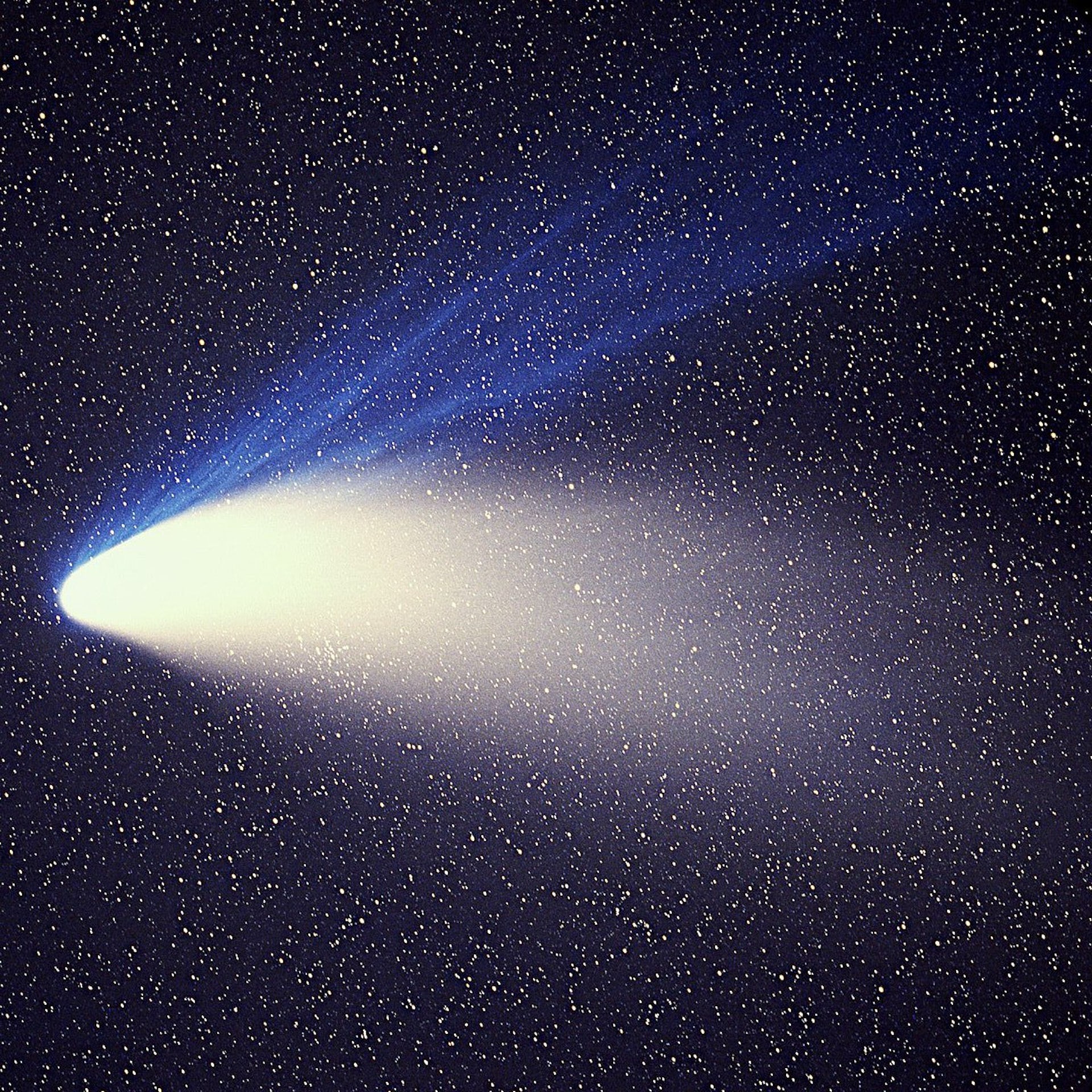 Halley's Comet 1226